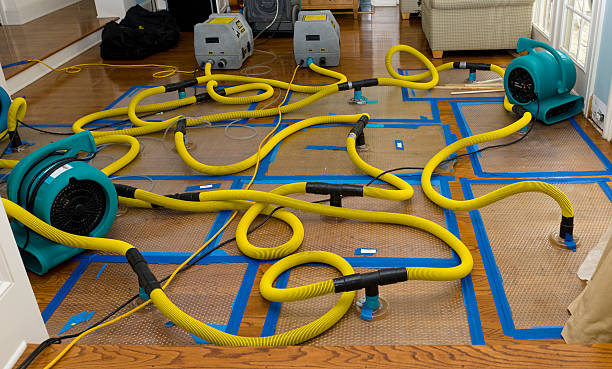 Professional Crawl Space Water Removal technician working in Delta, UT